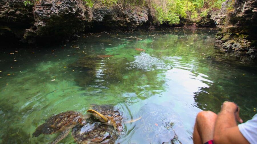 ZANZIBAR:Stonetown,Baraka aquarium and spice farm with lunch - Who Will Enjoy This Tour Most?