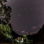Zealandia Small Group Eco Wildlife Night Tour - Frequently Asked Questions