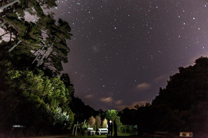 Zealandia Small Group Eco Wildlife Night Tour - Frequently Asked Questions