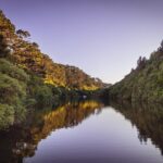 Zealandia - Twilight Guided Eco Wildlife Tour - What Reviewers Loved Most