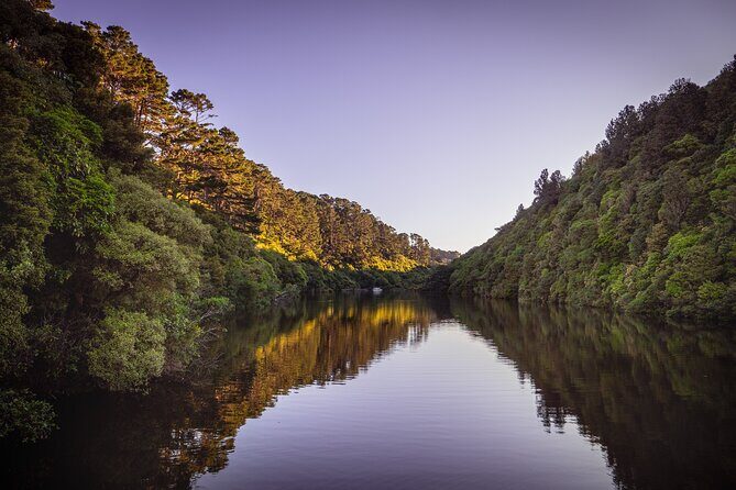 Zealandia - Twilight Guided Eco Wildlife Tour - What Reviewers Loved Most