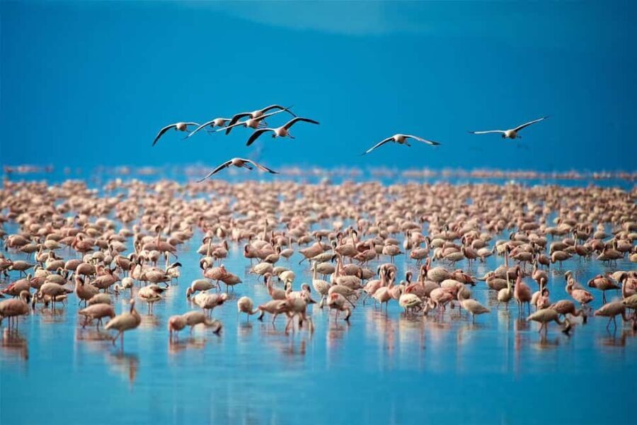 Zebra Plains budget safari tour - What You Can Expect at Each Park