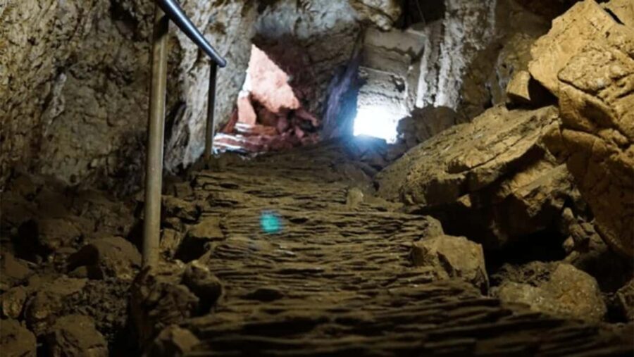 Zimbabwe: Chinhoyi Caves Tour with Lion Viewing and Lunch - Practical Details and Tips