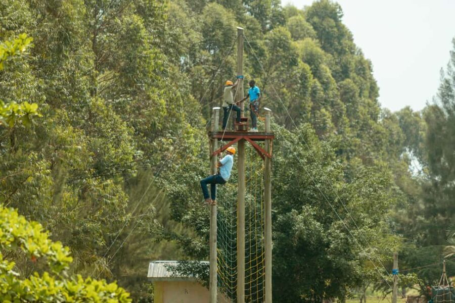 Zipline Adventure - What to Expect from the Tour