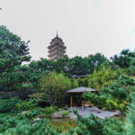 1 Day Chongqing Megacity Walking Tour - The Practical Side: What You Need to Know