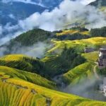 1-DAY Private Longji Rice Terraces and Minority Villages Tour - Price and Value Analysis