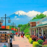 1 Day Private Tour to Hakone-Gotemba With English Speaking Driver - Transportation and Logistics: What Makes This Tour Stand Out