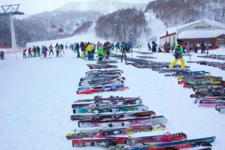 1-Day Ski Tour Package from Sapporo Station - Value & Cost Analysis