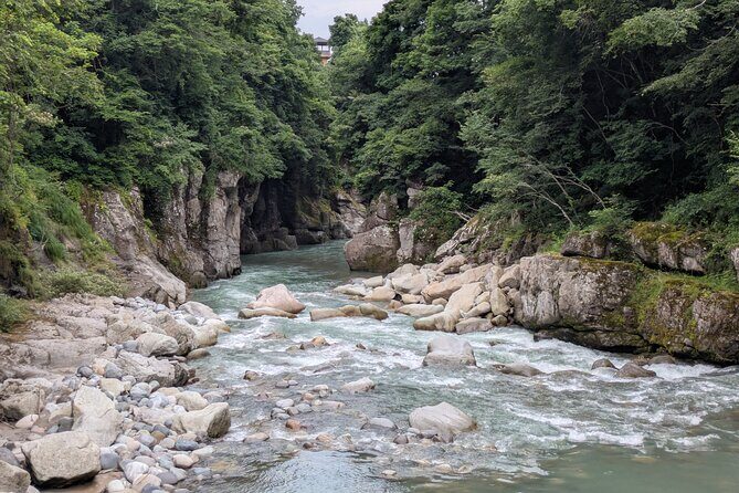 1 Day Tour from Kanazawa Tedori Gorge White Road and Shirakawa Go - The Guides: What Sets Them Apart?
