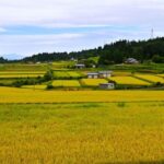 1-Day Tour from Nagoya: Hiking the Historic Nakasendo Trail - Who Will Enjoy This Tour Most?