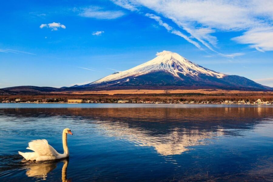 1-Day trip: Mt Fuji + Kawaguchi Lake area - How the Day Unfolds