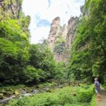 1 "Pandora" Day Trip-Zhangjiajie National Park(Avatar Mountain Scenery) - What Travelers Love About the Tour