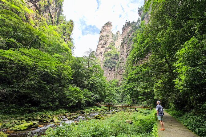 1 "Pandora" Day Trip-Zhangjiajie National Park(Avatar Mountain Scenery) - What Travelers Love About the Tour