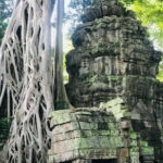 11-Day Cambodia Tour: visit Phnom Penh, Siem Reap & Beyond - Authentic Experiences and Unique Highlights