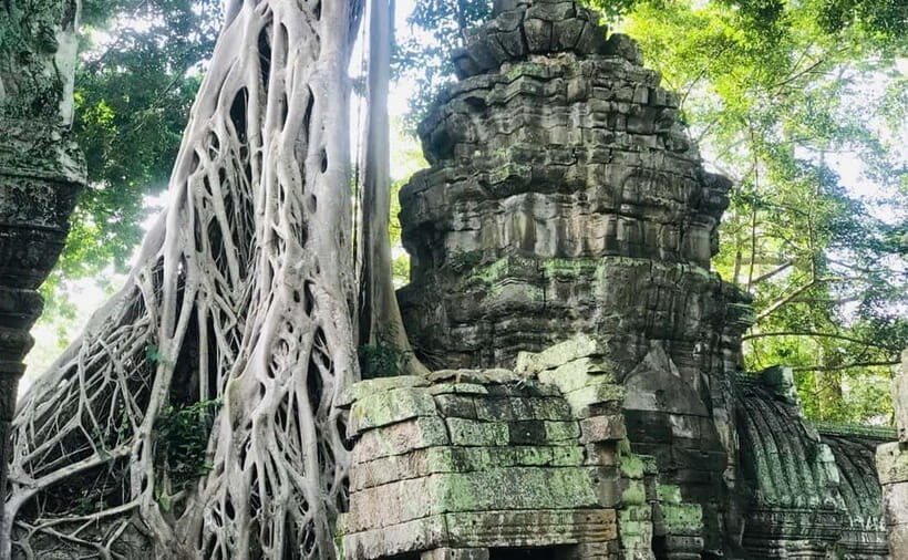 11-Day Cambodia Tour: visit Phnom Penh, Siem Reap & Beyond - Authentic Experiences and Unique Highlights
