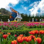 2-Day Da Nang & Hoi An :Ba Na Hills, Heritage & Ocean Views - The Value of the Tour