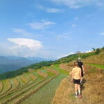 2-Day Ha Giang Trekking & Homestay Experience - What Makes This Tour Special?