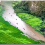 2-Day Hanoi - Ninh Binh - Ha Long Bay With Transfer - What Does the Tour Feel Like?