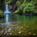 2-Day Jungle Safari: Kolkata to Jim Corbett by Air via Delhi - The Sum Up: Who Should Take This Tour?