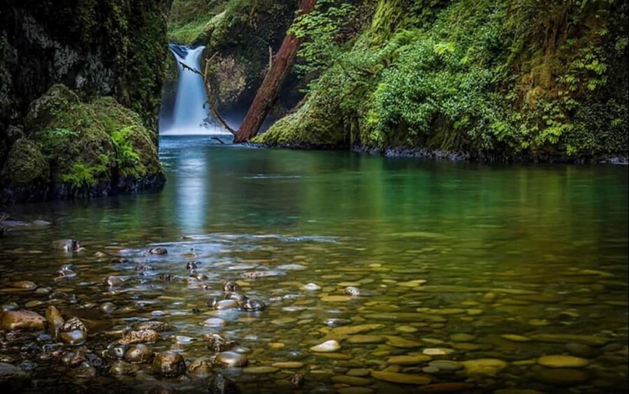 2-Day Jungle Safari: Kolkata to Jim Corbett by Air via Delhi - The Sum Up: Who Should Take This Tour?