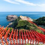 2-Day ONE WAY on Bus to Hiroshima via Yamaguchi from Fukuoka - What Makes This Tour Stand Out?