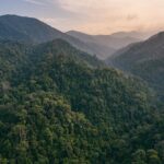 2 Days and 1 Night Ethical Jungle Trek - The Experience in Detail