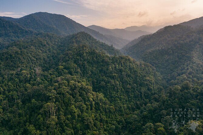 2 Days and 1 Night Ethical Jungle Trek - The Experience in Detail