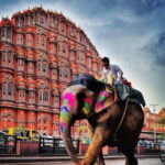2 Days complete Jaipur tour with elephant safari with guide. - Why this Tour Offers Great Value