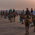 2 Days Sharing Group Non Touristic Camel & Desert Safari - Detailed Breakdown of the Itinerary