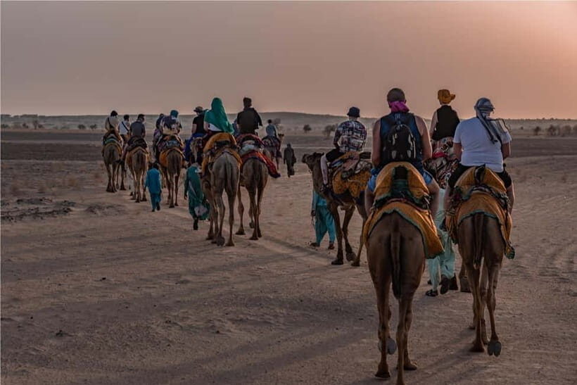 2 Days Sharing Group Non Touristic Camel & Desert Safari - Detailed Breakdown of the Itinerary