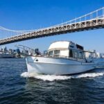 2 Hours Private Cruising Boat Tour;Tokyo Bay & River - Who Should Consider This Tour?