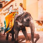 2 Nights/3Day Golden Triangle Tour ( Delhi-Agra-Jaipur ) - An In-Depth Look at the Itinerary