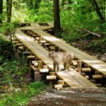 2025 Autumn Highlights from Takayama: Kamikochi, Shirakawago - Who Should Consider This Tour?