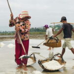 24-Day Cambodia Discovery: From Temple & Wildlife to Beaches - What Makes This Tour Stand Out?