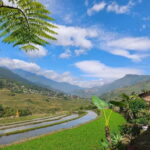 2D1N Trek: Ta Van & Lao Chai Rice Terrace Trails - Authentic Experiences and Hidden Gems