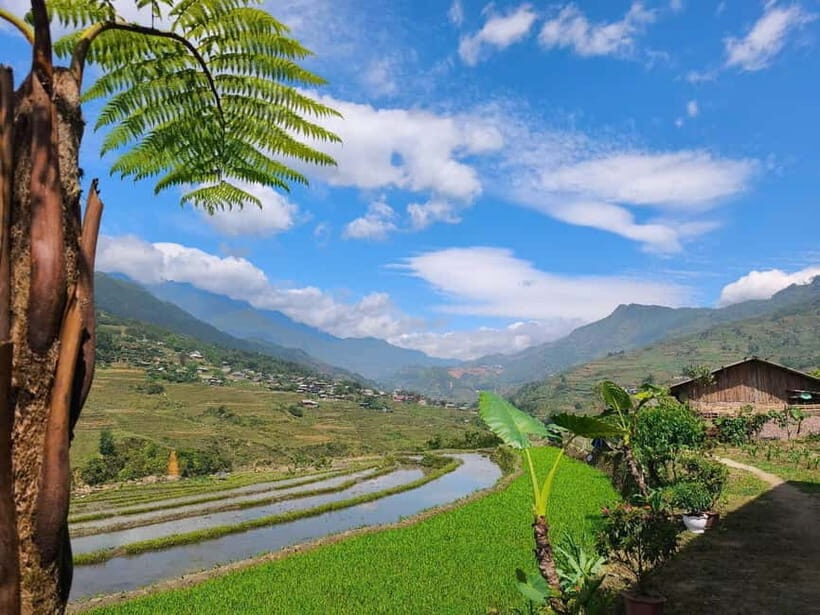 2D1N Trek: Ta Van & Lao Chai Rice Terrace Trails - Authentic Experiences and Hidden Gems