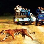 3-Day Jaipur Heritage Tour with Double Ranthambore Safari - Why This Tour Offers Real Value