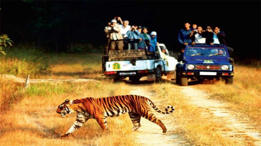 3-Day Jaipur Heritage Tour with Double Ranthambore Safari - Why This Tour Offers Real Value