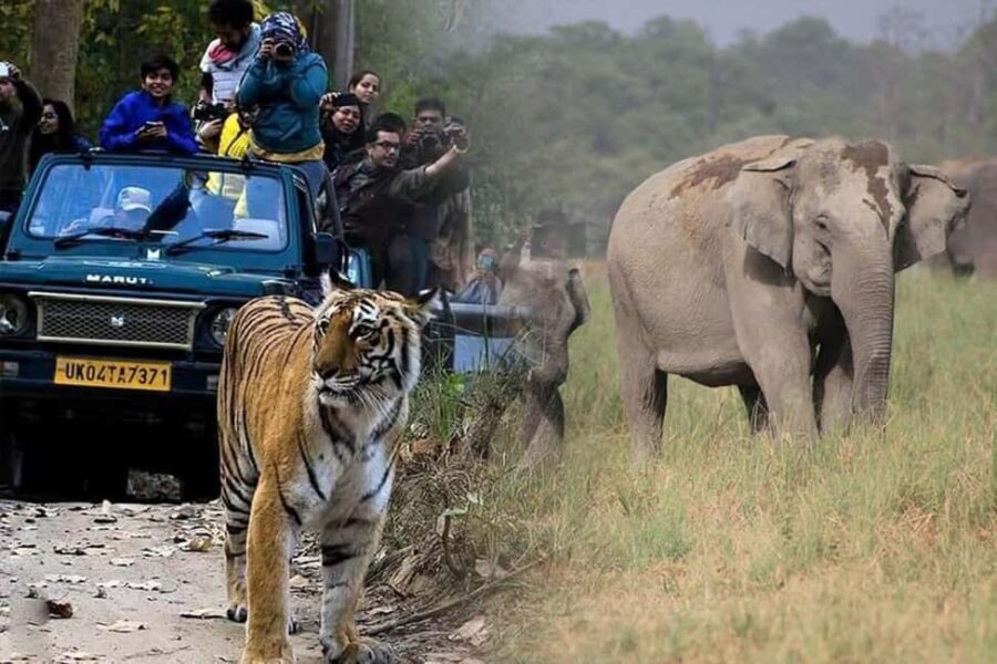 3-Day Jaipur Heritage Tour with Dual Ranthambore Safari. - Transportation and Guide Experience