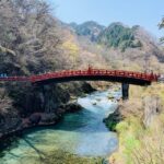 3 days fantastic attractions tour Tokyo+Nikko+Mt.FUJI Ect - Why This Tour Is a Solid Choice