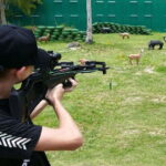 "3D-Challenge" Bow and Crossbow Shooting - Why This Experience Offers Great Value