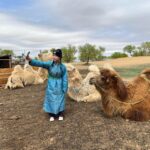 4 Day Best of Central Mongolia tour, Chinggis Khan statue - The Itinerary Breakdown