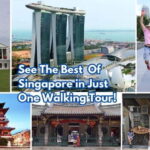 4 hour Chinatown, Civic District to Marina Bay Walking Tour - Key Points