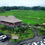 4-Hour Private Tour in Jatiluwih Terraces and Butterfly Park - Authentic Experiences and Highlights