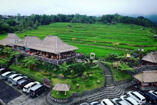 4-Hour Private Tour in Jatiluwih Terraces and Butterfly Park - Authentic Experiences and Highlights