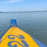 4 hours taking tuk tuk to see Mekong dolphins and countryside - Who Will Enjoy This Tour?