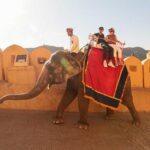 5 Days Golden Triangle Tour from Delhi - What Travelers Say