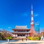 5-Days Private Tour Tokyo, Mt Fuji, Nikko, Hakone and Nagano - The Value of This Tour