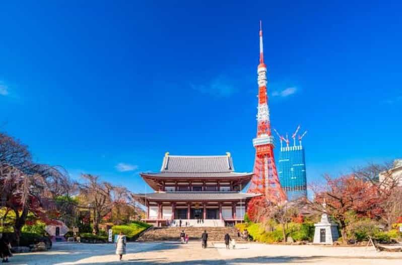 5-Days Private Tour Tokyo, Mt Fuji, Nikko, Hakone and Nagano - The Value of This Tour
