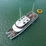 5 Star - CATAMARAN Cruise - Ha Long Bay 1 Day - Overview of the Experience